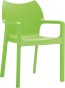 diva_krzesło_tropical green.jpg