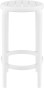 tom_bar_65_hoker_white.jpg