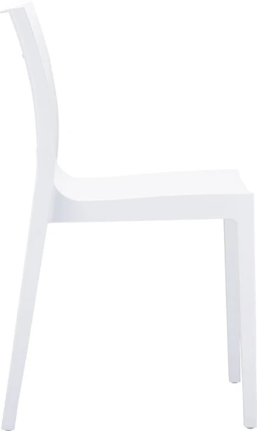 lucca_white_3.jpg