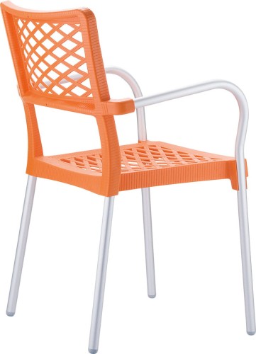 bella_orange_2.jpg