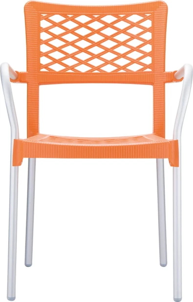bella_orange_3.jpg
