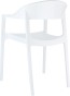 carmen_krzesło_white_glossy white_2.jpg