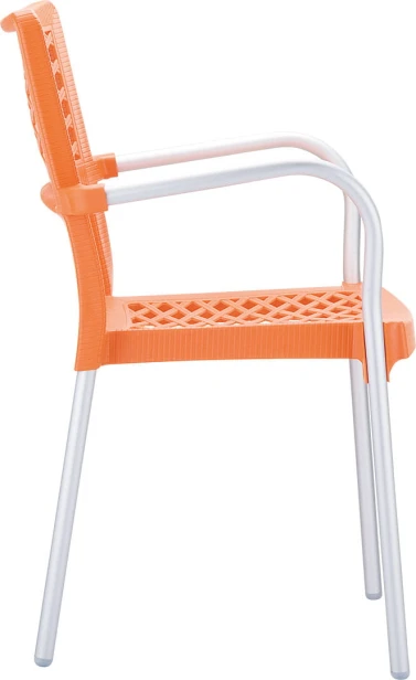 bella_orange_4.jpg