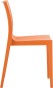 lucca-t_orange_3.jpg